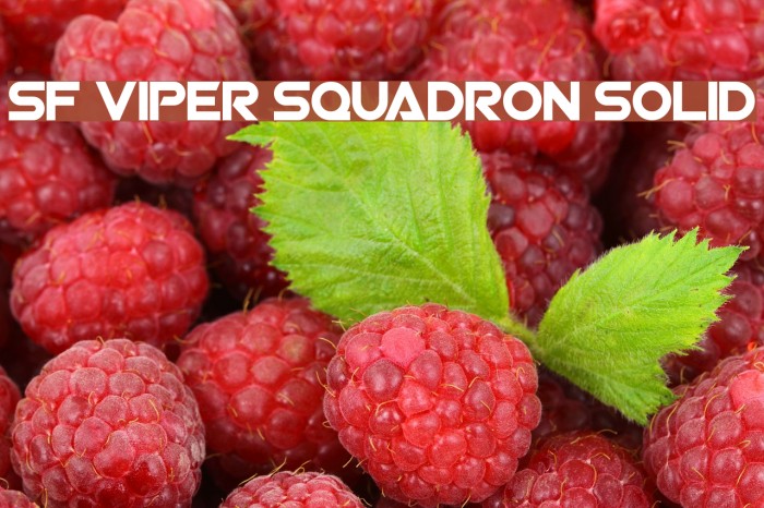 SF Viper Squadron Solid Font examples