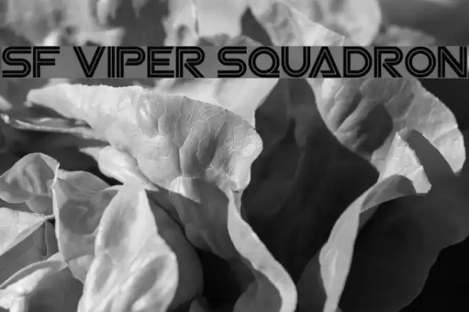 SF Viper Squadron Font examples