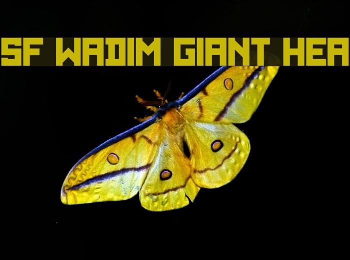 SF WADIM GIANT Heavy Font examples