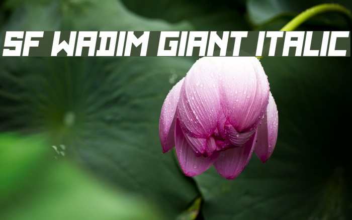 SF WADIM GIANT ITALIC Font examples