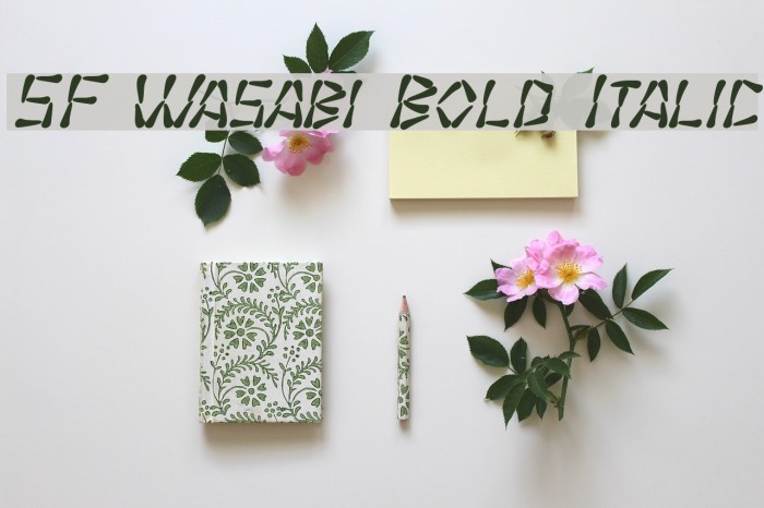SF Wasabi Bold Italic Font examples