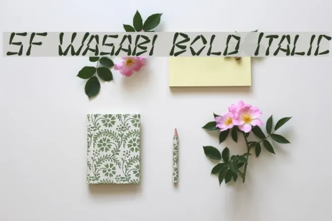 SF Wasabi Bold Italic Example 1