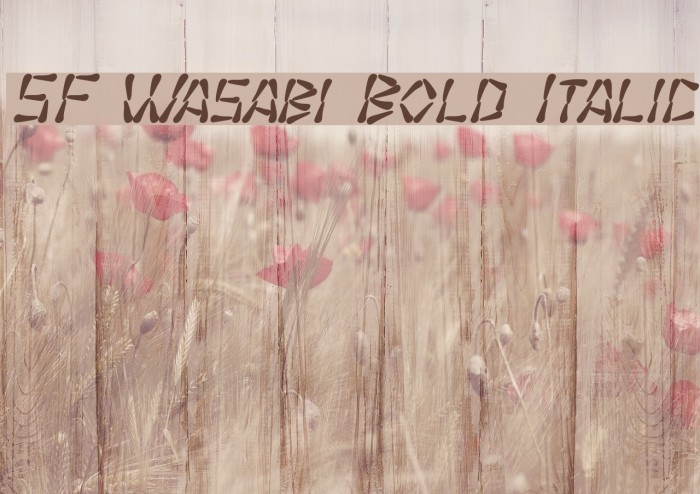 SF Wasabi Bold Italic Font examples