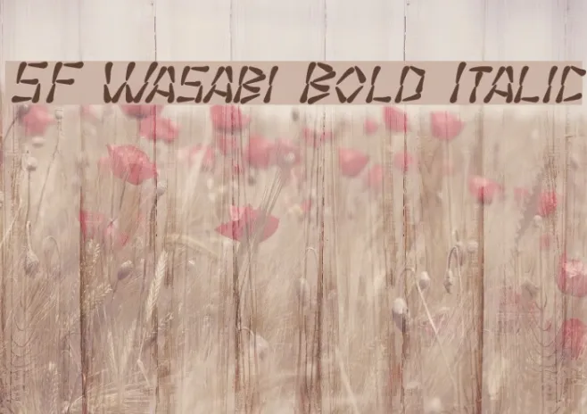 SF Wasabi Bold Italic Example 3