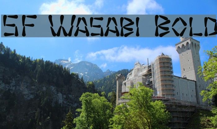 SF Wasabi Bold Fonte examples