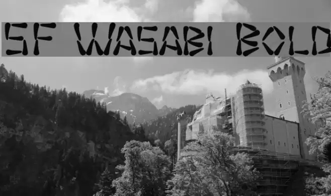 SF Wasabi Bold Fonte examples