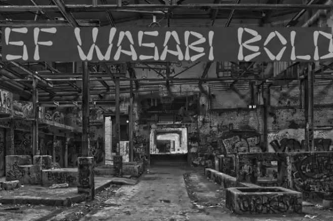 SF Wasabi Bold Fonte examples
