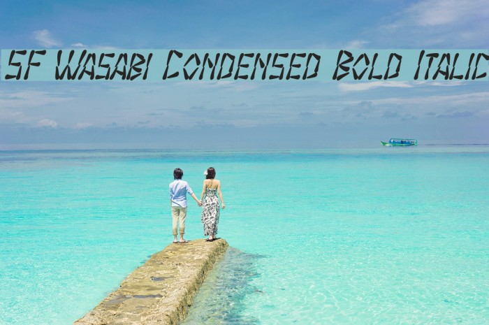 SF Wasabi Condensed Bold Italic Font examples