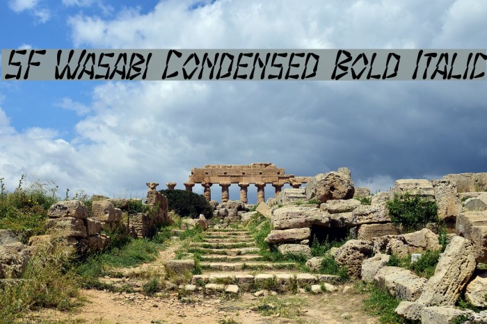 SF Wasabi Condensed Bold Italic Font examples