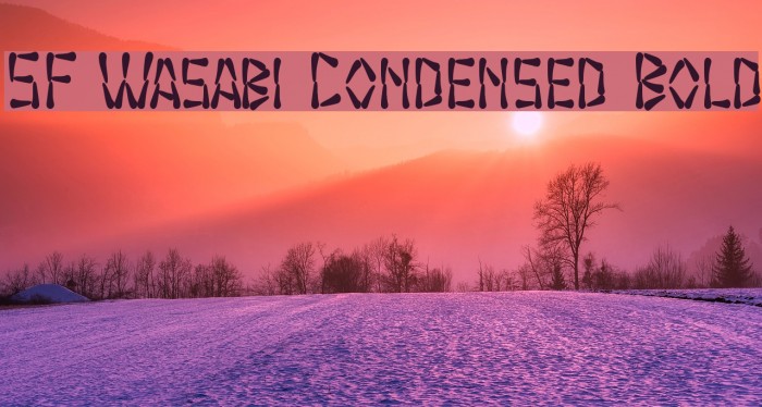 SF Wasabi Condensed Bold Font examples