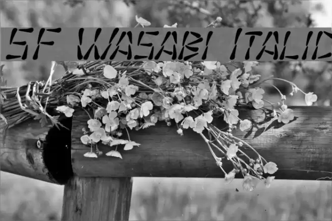 SF Wasabi Italic Font examples