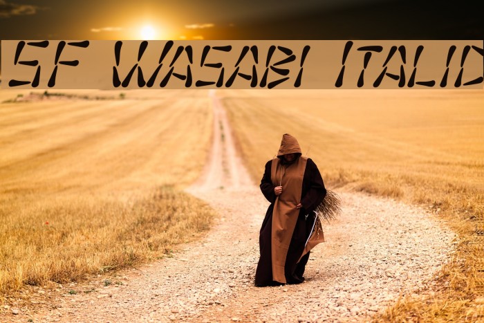 SF Wasabi Italic फ़ॉन्ट examples