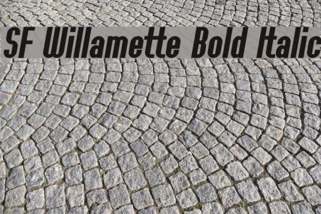 SF Willamette Bold Italic Example 2