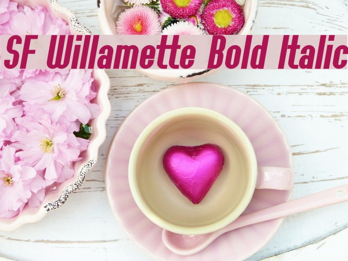 SF Willamette Bold Italic Font examples