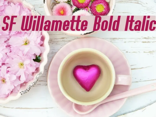 SF Willamette Bold Italic Example 3