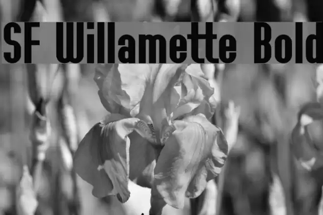 SF Willamette Bold Шрифта examples