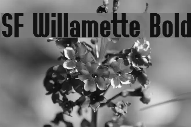 SF Willamette Bold Шрифта examples