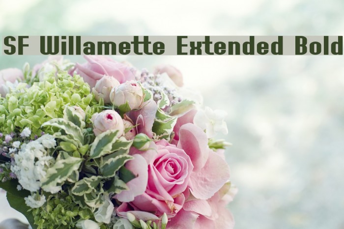 SF Willamette Extended Bold Font examples