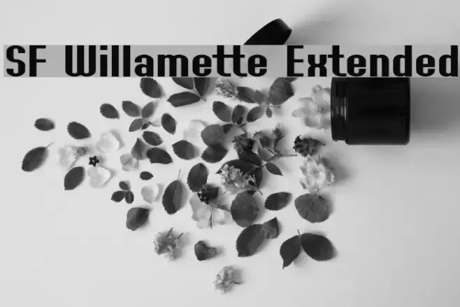 SF Willamette Extended Font examples