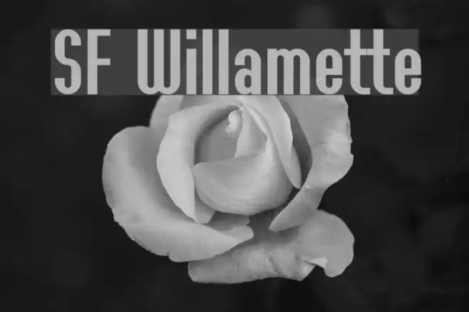 SF Willamette Font examples