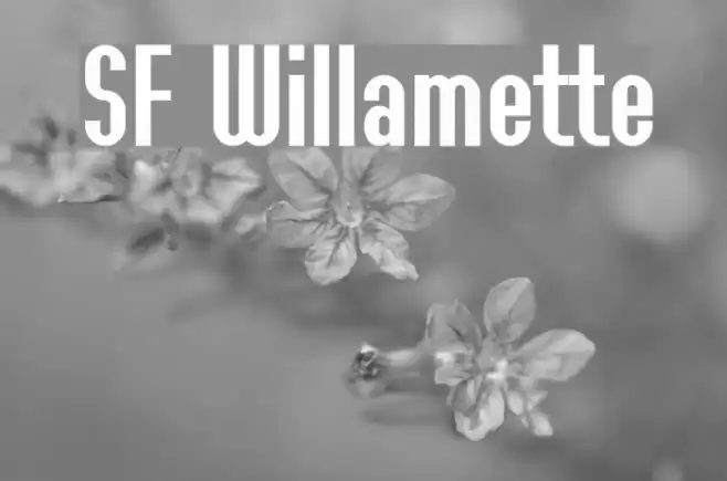 SF Willamette Font examples