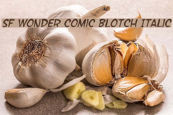 SF Wonder Comic Blotch Italic Schriftart examples