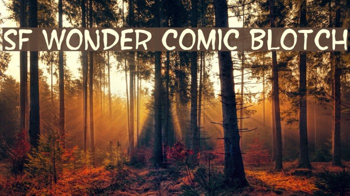 SF Wonder Comic Blotch Font examples