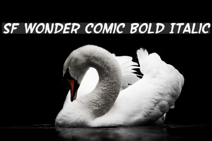 SF Wonder Comic Bold Italic Font examples