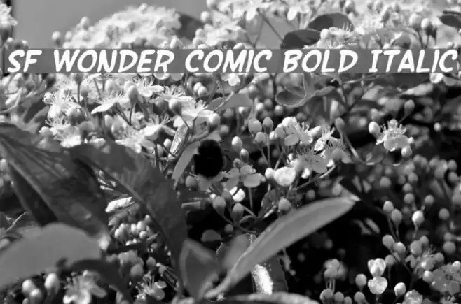 SF Wonder Comic Bold Italic Schriftart examples