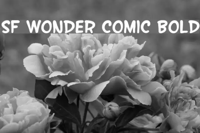 SF Wonder Comic Bold Schriftart examples
