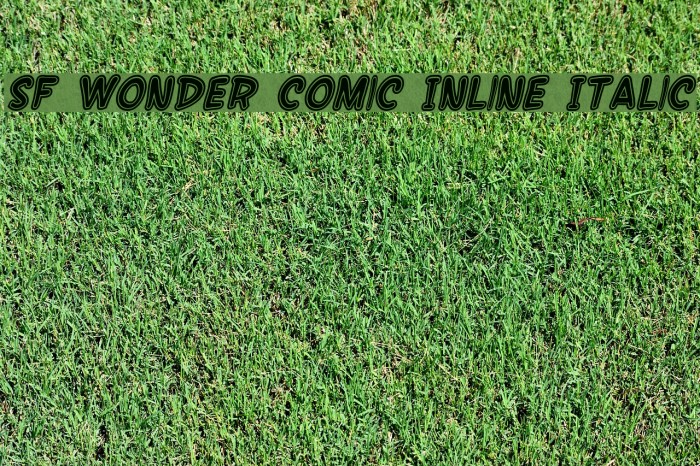 SF Wonder Comic Inline Italic Font examples