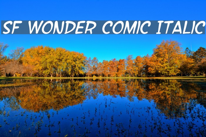 SF Wonder Comic Italic Font examples