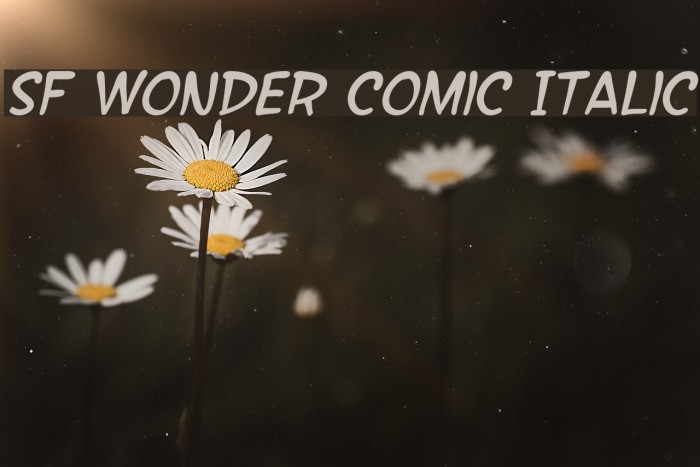 SF Wonder Comic Italic Font examples