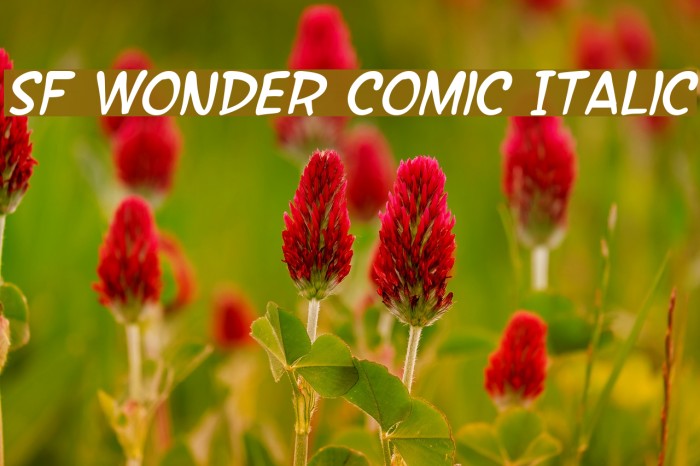 SF Wonder Comic Italic Font examples