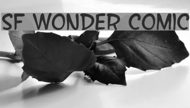 SF Wonder Comic Font examples
