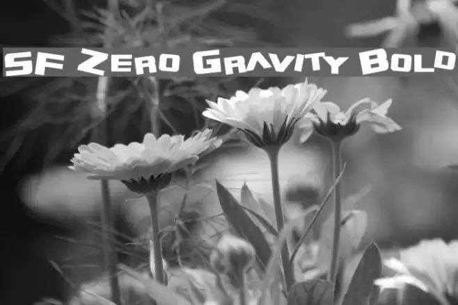 SF Zero Gravity Bold Font examples