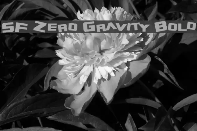SF Zero Gravity Bold Font examples
