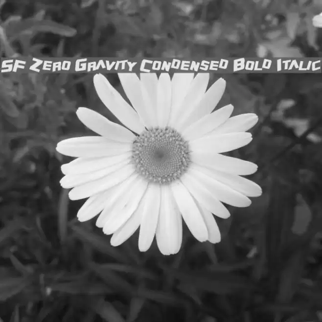 SF Zero Gravity Condensed Bold Italic Fuentes examples