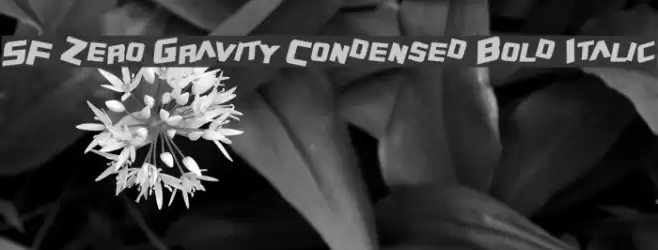 SF Zero Gravity Condensed Bold Italic Fuentes examples
