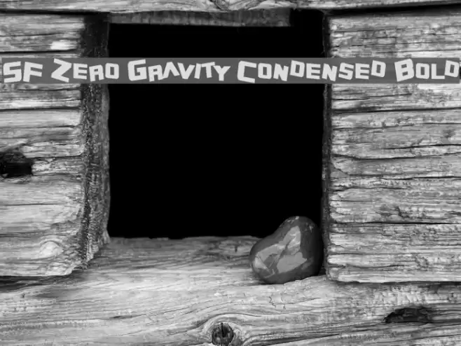 SF Zero Gravity Condensed Bold Polices examples