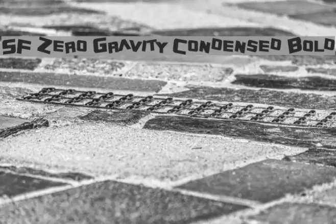 SF Zero Gravity Condensed Bold Polices examples