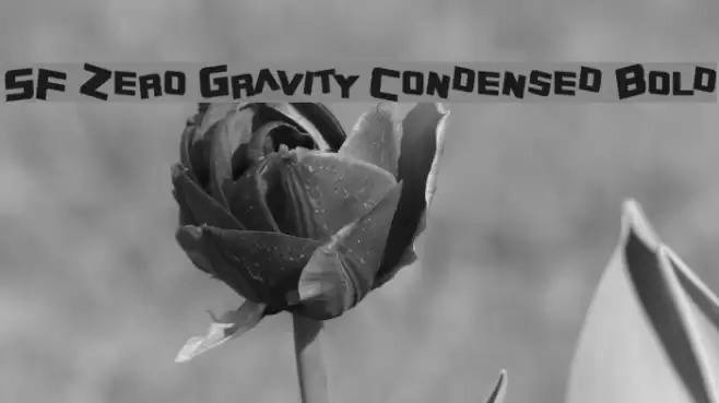 SF Zero Gravity Condensed Bold Polices examples