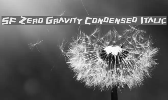 SF Zero Gravity Condensed Italic Font examples