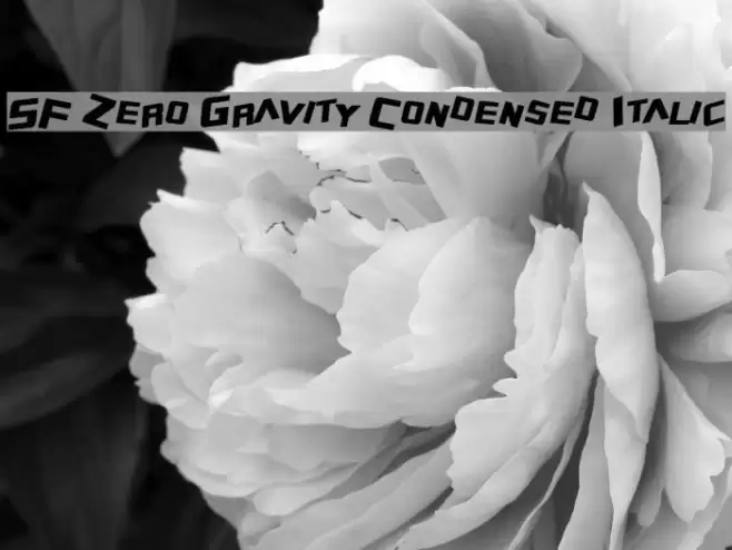 SF Zero Gravity Condensed Italic Font examples