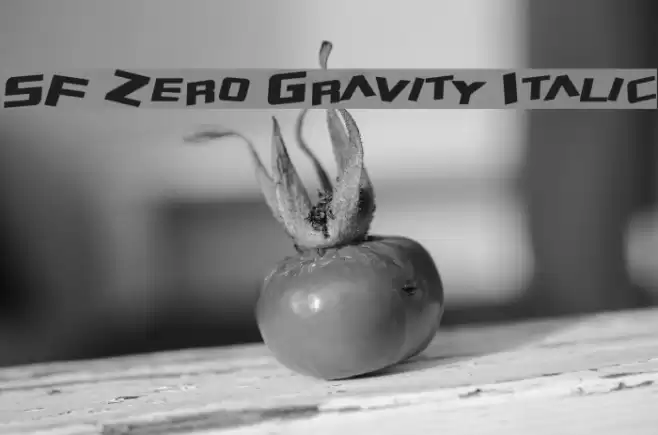 SF Zero Gravity Italic Шрифта examples