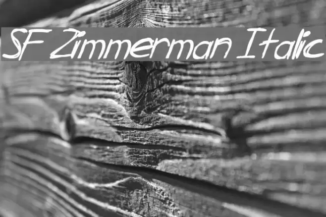 SF Zimmerman Italic Font examples