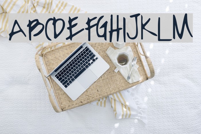 SF-notebook Font examples