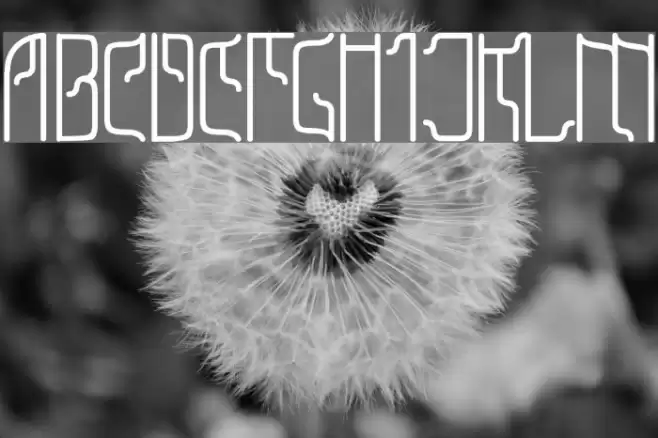 Sfilth Fuentes examples