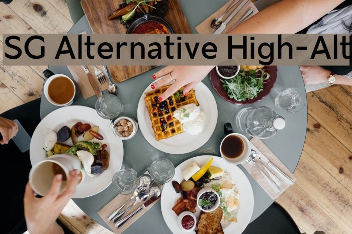 SG Alternative High-Alt Font examples