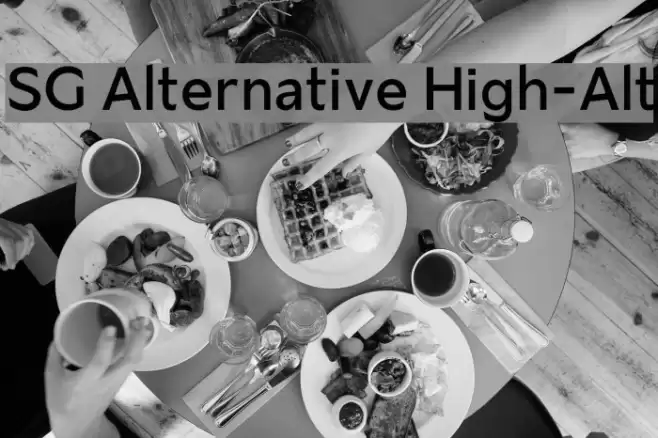 SG Alternative High-Alt Font examples